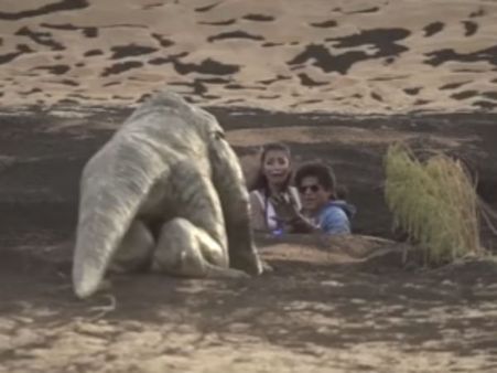 புதைமணல்... நெருங்கிய கொமோடோ டிராகன்... தொகுப்பாளரை குத்திய ஷாருக்கான்