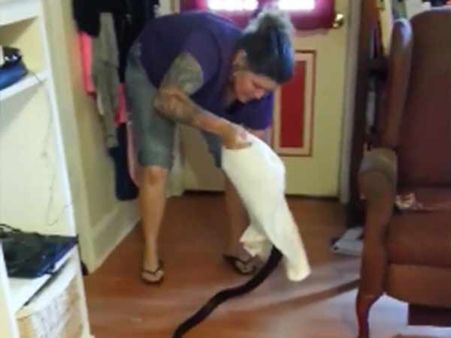 ஏனுங்க.. இந்த அம்மணி எப்படி பாம்பு பிடிக்குது பாருங்க!