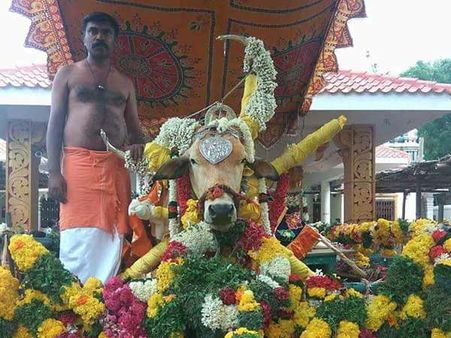 மரணித்த பட்டத்து மாடு.. ஊரே கூடி கண்ணீர் அஞ்சலி செலுத்தி நெகிழ்ச்சி!