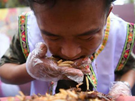 பொரித்த பூச்சிகளையும் புழுக்களையும் லபக் லபக் என முழுங்கிய சுற்றுலாப்பயணி! உறைந்த பார்வையாளர்கள்!