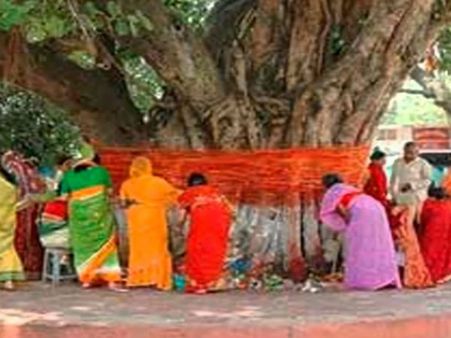 தீர்க்க சுமங்கலி வரம் அருளும் வட சாவித்ரி விரதம் 