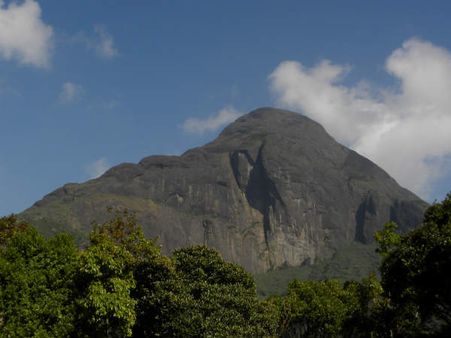 'அகஸ்தியர் மலை' உயிர்க்கோள் காப்பக பகுதி.. சான்றிதழ் வழங்கியது யுனெஸ்கோ!