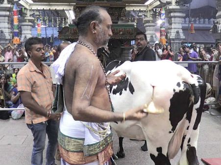 அளவற்ற பலன்களை அள்ளித் தரும் கோபத்ம விரதம்!