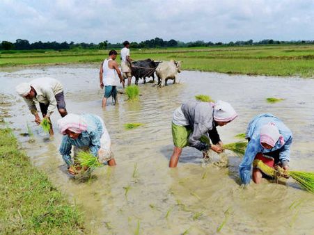அனைத்து விவசாயிகளுக்கும் கடன் தள்ளுபடி... உயர் நீதிமன்ற உத்தரவுக்கு சுப்ரீம் கோர்ட் தடை