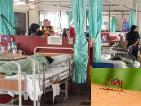 டெங்கு காய்ச்சல் பாதிப்பு.. 7 பேர் மருத்துவமனையில் அனுமதி.. மதுரையில் பீதி