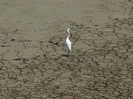 அத்திப்பட்டியாகிறது சென்னை.. 13 ஆண்டுகளுக்குப் பிறகு முழுமையாக வறண்டது புழல் ஏரி! #Puzhal