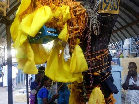 ராகு கேது பெயர்ச்சி: திருநாகேஸ்வரம், கீழப்பெரும்பள்ளம் கோவில்களில் பக்தர்கள் பரிகாரம்
