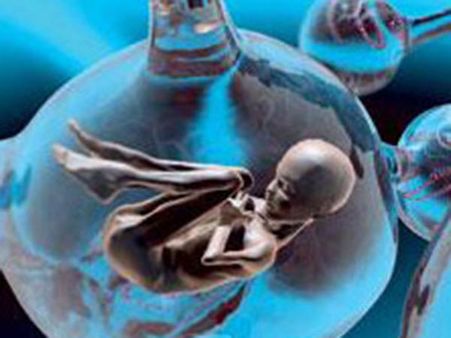 செயற்கை கருத்தரிப்பில் இப்படி ஒரு ஆபத்து வருமா? புதுச்சேரியில் தாய், 2 குழந்தைகள் பலியான சோகம்