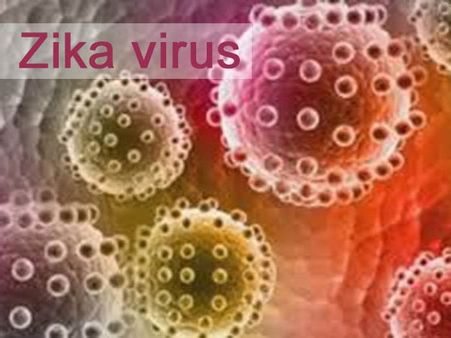 தமிழகம் உட்பட இந்தியாவில் 4 பேருக்கு ஜிக்கா வைரஸ் தொற்று.. மத்திய அரசு அதிர்ச்சி தகவல்!