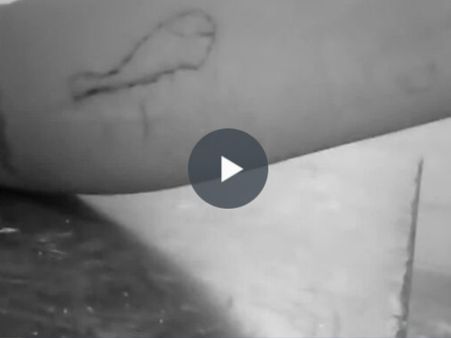 ப்ளூவேல் - விக்னேஷ் மரணம்: மக்கள் பீதியடைய வேண்டாம் - மதுரை ஆட்சியர் - வீடியோ