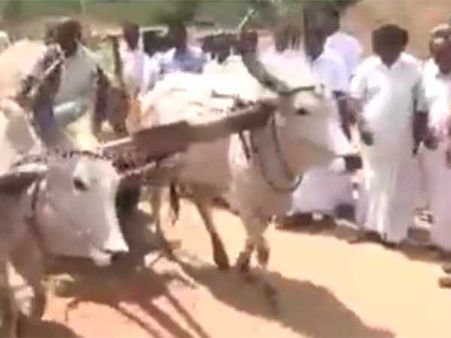 மணல் அல்ல அனுமதி கோரி திருவையாற்றில் மாட்டு வண்டிகளுடன் விவசாயிகள் சாலை மறியல்!