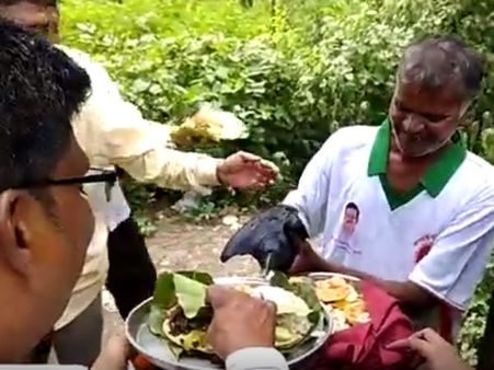 மகாளய அமாவாசையில் வாடகை காகத்திற்கு உணவு - வைரல் வீடியோ