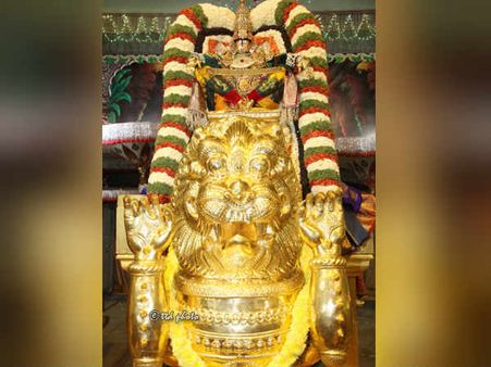 திருப்பதி பிரம்மோற்சவம்: அன்ன வாகனம், சிம்ம வாகனத்தில் உலா வந்த மலையப்பசாமி