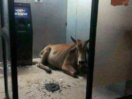 மோடி அரசின் மொத்த சாதனையையும் சொல்ல இந்த ஒரு படம் போதும்!