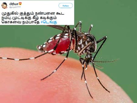 முதுகில் குத்தும் நண்பனை கூட நம்பு..முட்டிக்கு கீழ் கடிக்கும் கொசுவை நம்பாதே #டெங்கு 