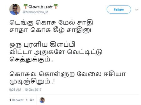டெங்கு கொசு மேல் சாதி,சாதா கொசு கீழ் சாதினு ஒரு புரளிய கிளப்பிவிட்டா அதுகளே வெட்டிட்டு செத்துரும்!