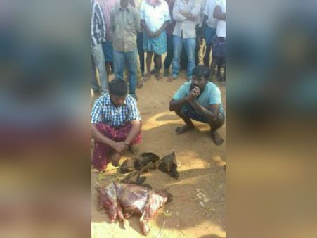 சண்டே ஸ்பெஷலாம்... ஆட்டுக் கறியுடன் நாய் கறி கலந்து பிரியாணி.. ஆம்பூரில் இருவர் கைது