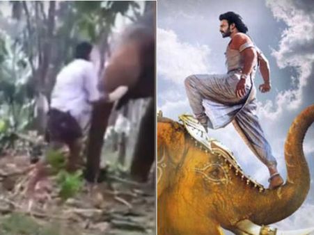 கேரளாவில் பாகுபலி போல துதிக்கையில் ஏற முயன்ற நபர் - தூக்கி அடித்த யானை- வீடியோ
