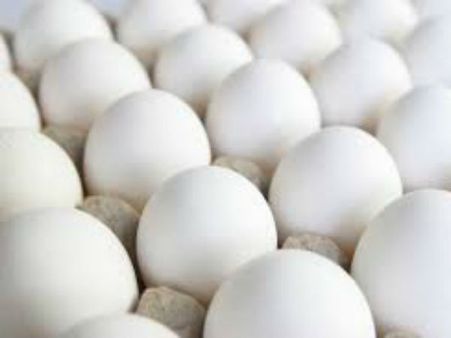 ஐயப்ப சீசன்... முட்டை விலை சரிவு - ஆம்லேட் விலை குறையுமா?