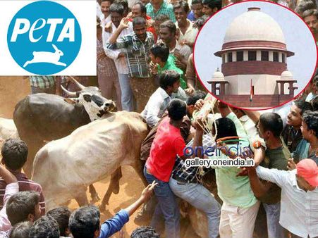 ஜல்லிக்கட்டுக்கு எதிராக மீண்டும் களமிறங்கும் பீட்டா- சுப்ரீம் கோர்ட்டில் மனு