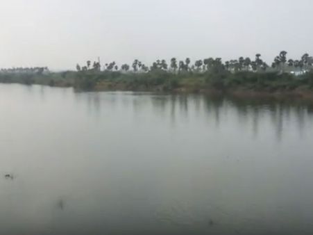 கொசஸ்தலை ஆற்றில் கலக்கும் சாம்பலால் மீன்கள் விஷமாகிவிட்டது.. ஆய்வுக்குழு பகீர் அறிக்கை