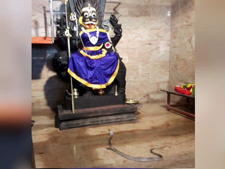ஸ்ரீபிரத்தியங்கிராதேவியை நேரில் வந்து வழிபட்ட நாகம் - மெய்சிலிர்த்த தூத்துக்குடி பக்தர்கள் 