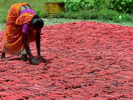 நான்காவது நாளாக தொடரும் பட்டாசு உற்பத்தி ஆலைகள் வேலைநிறுத்தம்.. தொழிலாளர்கள் அவதி