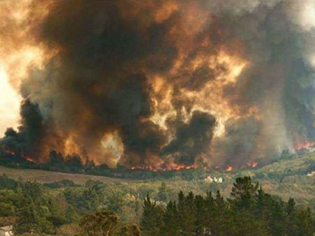 பதினைந்து நாளாக தொடரும் தாமஸ் காட்டுத் தீ.. பற்றி எரியும் கலிபோர்னியா நகரம்