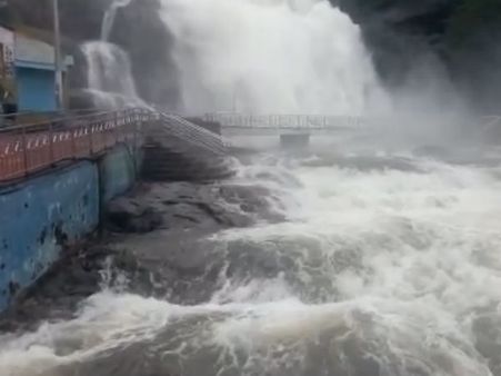 ஆக்ரோஷமாக சீறிப்பாயும் குற்றால அருவிகள்... கடும் வெள்ளப்பெருக்கு