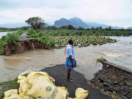 ஓகி புயலால் தமிழகத்தில் ரூ.1000 கோடி சேதம்...கணக்கெடுப்பு அதிகாரி தகவல்