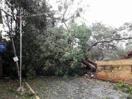 குமரியில் ஓகி புயல் கோரத் தாண்டவம்: பொதுமக்களின் இயல்பு வாழ்க்கை அடியோடு முடக்கம்#Ockhi