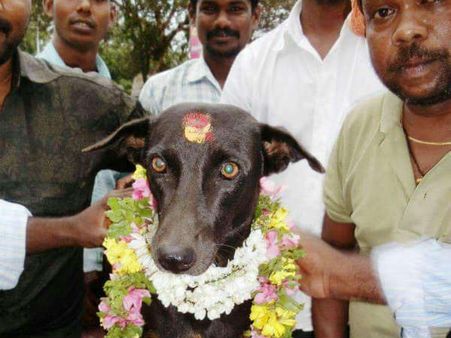 சிவகங்கையில் டாஸ்மாக் கடையை பாதுகாக்கும் நாய்க்கு பாசத்துடன் வளைகாப்பு நடத்திய மதுப்பிரியர்கள்