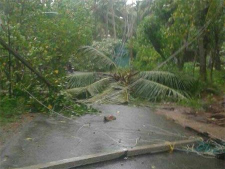 மழையால் ஏற்படும் மின்சார பாதிப்புகள் குறித்த புகார்கள் தெரிவிக்க வாட்ஸ் அப் எண்கள் அறிவிப்பு