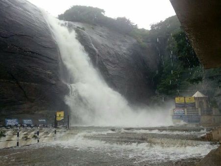 கொடைக்கானலை மிரட்டும் கனமழை.. முக்கிய சுற்றுலாத் தலங்கள் மூடல்!