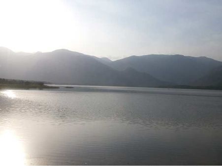 காலம் கடந்து கிடைக்கும் பலாக் கனியைக் காட்டிலும் கையிலிருக்கும் கலாக்கனி மேல்!