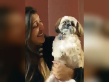 எக்ஸிட் போல்களை விடுங்க பாஸ்... இந்த க்யூட் பப்பி சொல்லும் குஜராத் ஜோசியத்தை கேளுங்க!