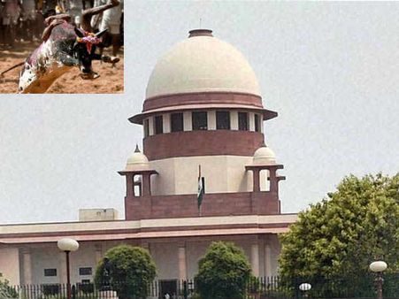 ஜல்லிக்கட்டு சட்டத்திருத்தத்தை எதிர்த்த வழக்கு... டிசம்பர் 12ல் விசாரிக்கிறது சுப்ரீம் கோர்ட்!