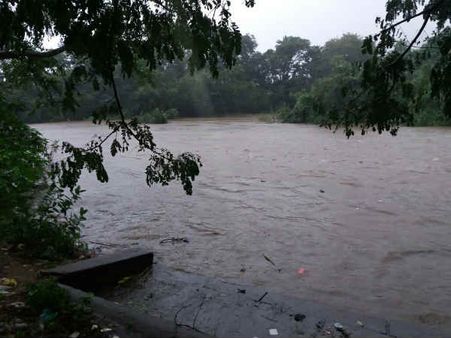 நெல்லையை சூறையாடிய ஓகி புயல்... தாமிரபரணியில் வெள்ளம் - மாஞ்சோலை மக்கள் அவதி