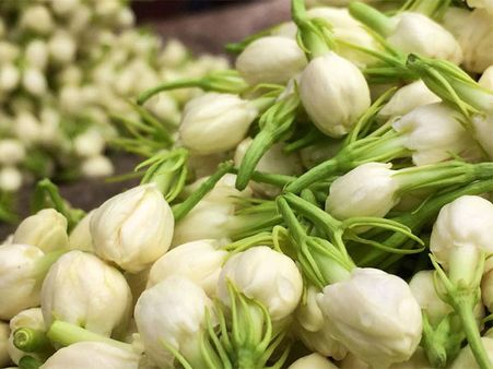 மல்லிகைப்பூவை இனி கற்பனை மட்டுமே செய்யணுமா?... கிலோ ரூ. 7,500!