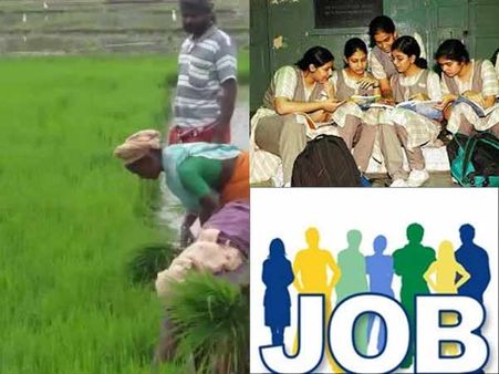 விவசாயம், கல்வி, வேலைவாய்ப்புக்கு முன்னுரிமை- பொருளாதார ஆய்வறிக்கையில் தகவல்