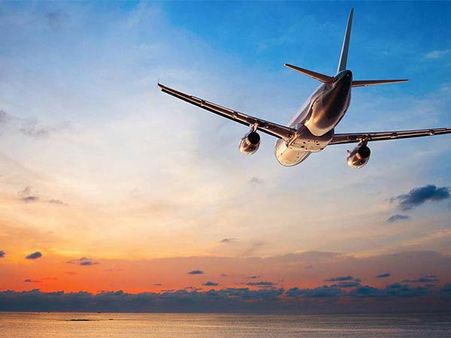 விமானத்திலிருந்து விழுந்த 