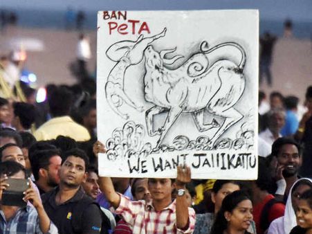 ஜல்லிக்கட்டு புரட்சி வெடித்து ஓராண்டு.. தமிழகம் பெற்ற நன்மைகள் என்னவெல்லாம் தெரியுமா?