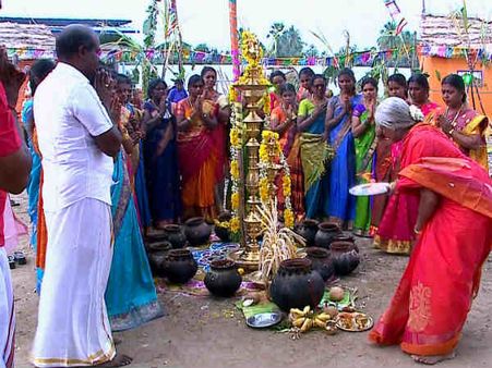 பொங்கலோ பொங்கல்... வேந்தர் டிவி, புதுயுகம் டிவியில் பாரம்பரிய கலை நிகழ்ச்சிகள்