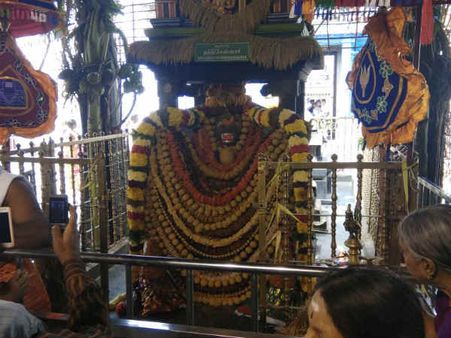 மாட்டுப்பொங்கல் தமிழக கிராமங்களில் கோலாகலம் - கோவில்களில் நந்திக்கு அலங்காரம்