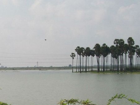 பராமரிப்பு இல்லாத தடுப்பு.. வீணாகும் தண்ணீர்.. தூத்துக்குடியில் வேடிக்கை பார்க்கும் அதிகாரிகள்!