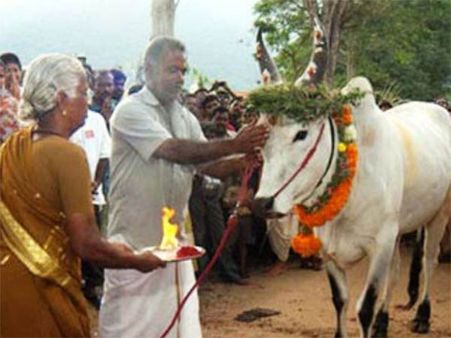 உழவர் பெருமக்களை வணங்கி பொங்கலை கொண்டாடுவோம் 