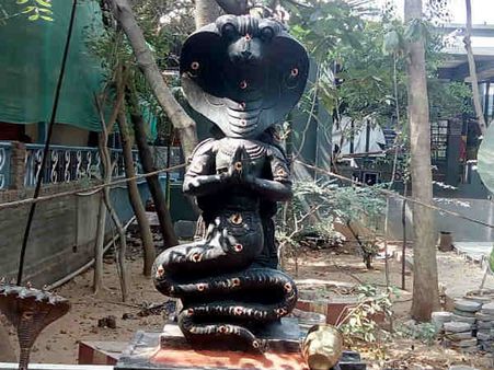 புற்றுநோய்,செரிமான கோளாறுகள் தீர்க்கும் ராகு- கேது