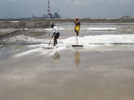தூத்துக்குடியில் அழிந்து வரும் உப்பள தொழில்.. தொழிலாளர்கள் கவலை