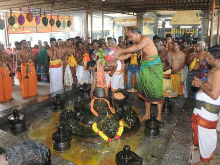 வீடு கட்ட ஆசி தரும் வாஸ்து பகவான் - தன்வந்திரி பீடத்தில் வாஸ்து ஹோமம்