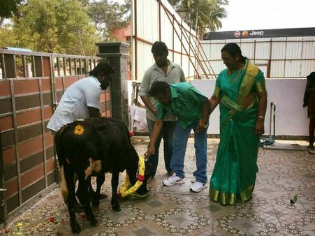 அட்சயாவிற்கு பொங்கல் ஊட்டி விஜயகாந்த் கொண்டாடிய மாட்டுப்பொங்கல்